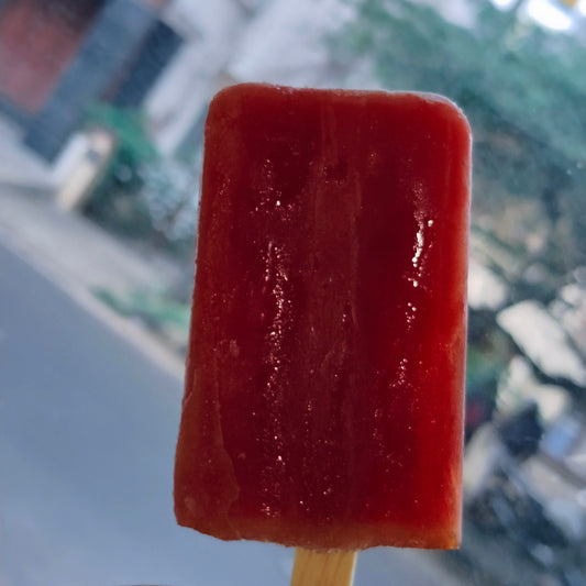 ๐ Watermelon Popsicle